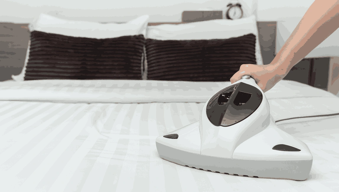 Professional Mattress Cleaning Parkville